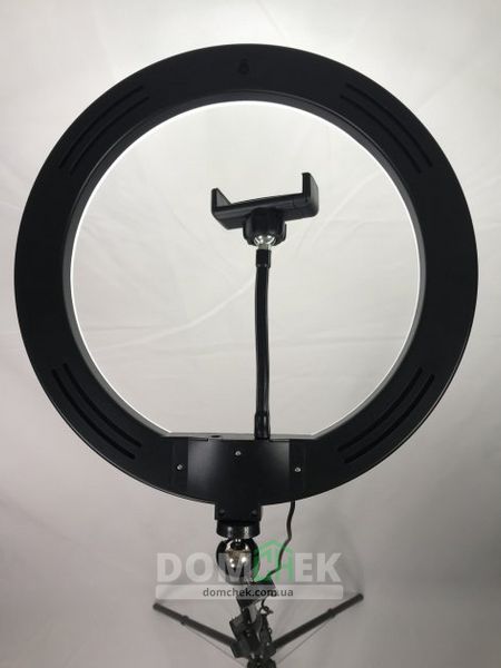 Кольцевая лампа Ring Light 33см, Штатив 2 метра + Bt пульт для телефона L 30 HP SH фото