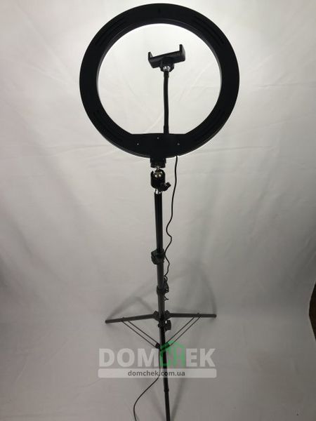 Кільцева лампа Ring Light 33см, Штатив 2 метри + Bt пульт для телефону L 30 HP SH фото