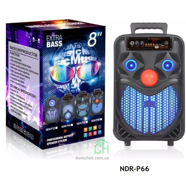 Bluetooth-колонка 20W з мікрофоном 8" RGB підсвітка, акамуляторна болютуз колонка NDR-P66 40 см NDR-P66 фото